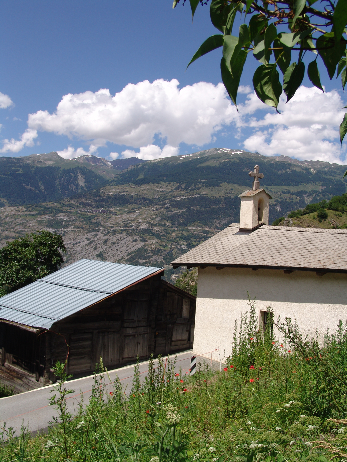 dsc09019-kl
